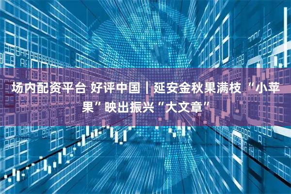 场内配资平台 好评中国｜延安金秋果满枝 “小苹果”映出振兴“大文章”